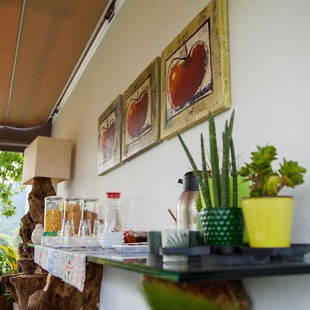 Quinta Da Mouta Villa Vieira do Minho Kültér fotó