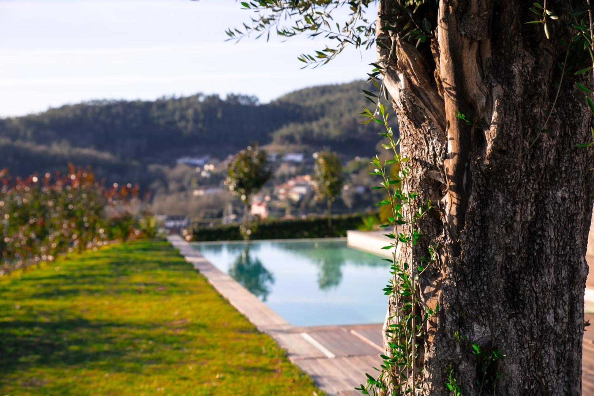 Quinta Da Mouta Villa Vieira do Minho Kültér fotó